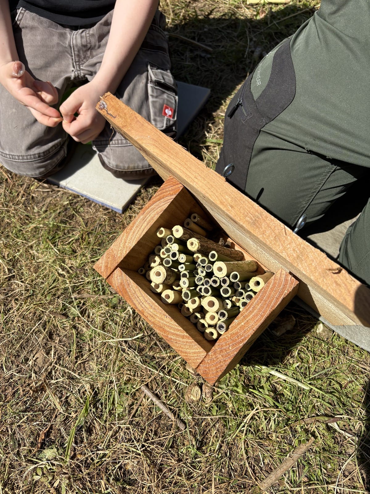 Streuobstwiesen-Projekt
